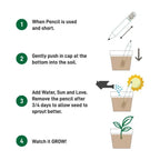 Plant A Pencil Kit
